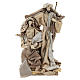 Nativity 31 cm resin and fabric Gold finish s1