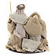 Nativity 20 cm Shabby Chic style in resin with clothes made of gauze s5