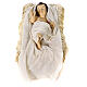 Nativity 80 cm Shabby Chic style in resin with gauze clothes in shades of beige s2