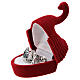 Swan shaped velvet case with Nativity s2