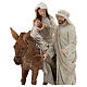 Nativité avec âne en résine 20 cm s2