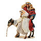 Holy Family with donkey resin and cloth 30 cm Light of Hope s2
