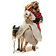 Holy Family with donkey resin and cloth 30 cm Light of Hope s6