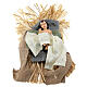 Nativity of resin and fabric, Holy Earth, 40 cm s2