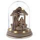 Holy Family in painted resin case with LED light 25 cm s1