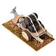 Burro com carrinho carga de cascos presépio 8 cm s2