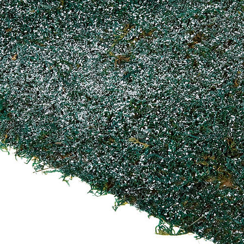 Folha de musgo com neve para bricolagem presépio 2
