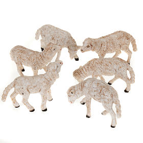 Schafe für Krippe, Set zu 6 Stück, für 14 cm Krippe
