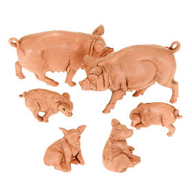 Famiglia di maiali per presepe 6 pz. 10 cm