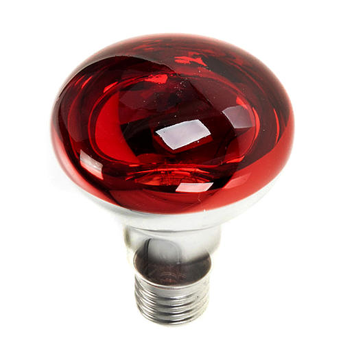 Lampada presepe E27 rossa 220v 60w 1