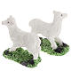 Nativity scene figurines 10cm, sheep in resin, 2 pieces s2