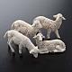 Schafe für Krippen aus Plastik gemischt 4 Stücke 16 cm hoch s2