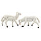 Nativity scene figurines, white plastic sheep, 4 pieces 16 cm s3