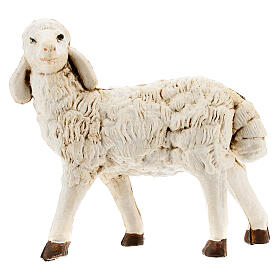 Schafe für Krippen aus Plastik gemischt 4 Stücke 20 cm hoch.