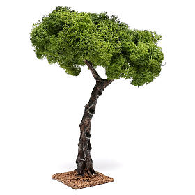Quercia per presepe cm 25