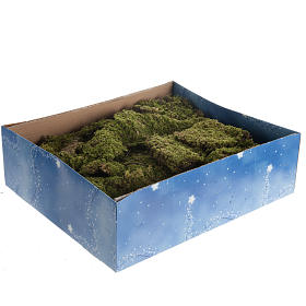 Nativity accessory, natural moss, 500gr