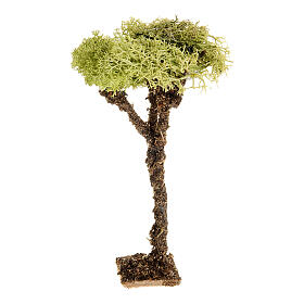 Albero presepe con lichene 10 cm