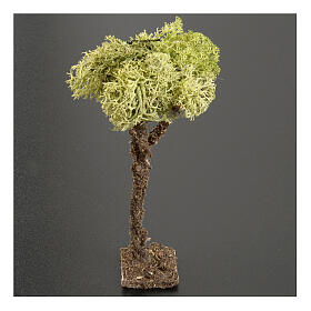 Albero presepe con lichene 10 cm