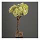 Nativity accessory, tree with lichen 10cm s2