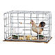 Chickens in a cage 3cm s1
