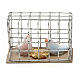 pigeon in a cage 3cm s1