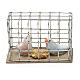 pigeon in a cage 3cm s3