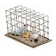 pigeon in a cage 3cm s2