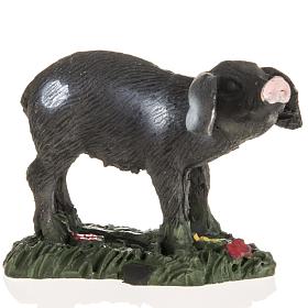 Schwarzes Schwein für Krippe 10 cm, aus Harz