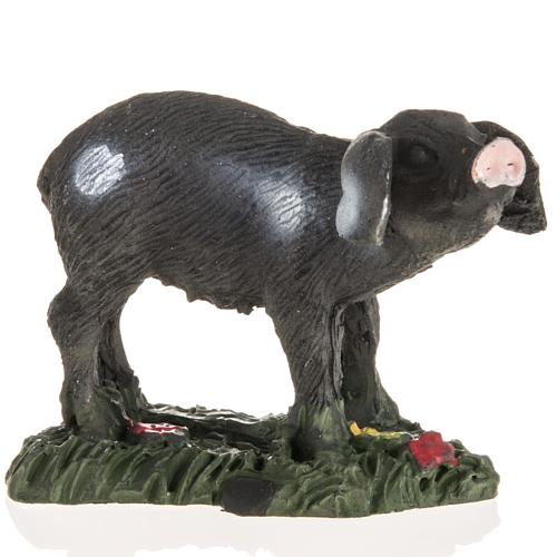 Schwarzes Schwein für Krippe 10 cm, aus Harz 1
