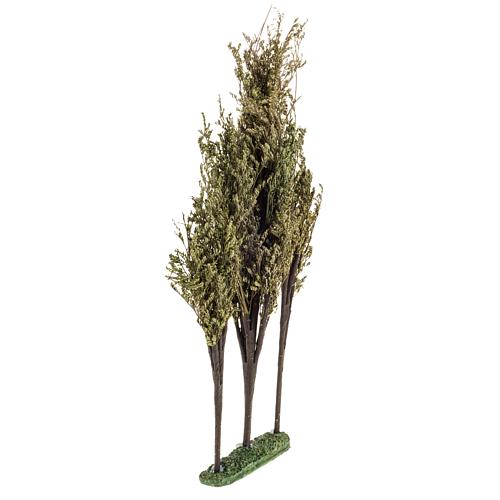 Alberi per presepe Tris 16X3X32 2