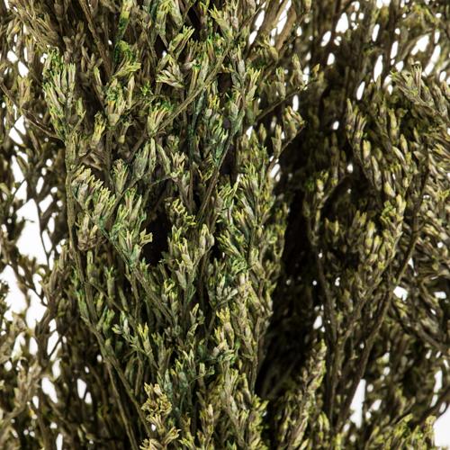 Alberi per presepe Tris 16X3X32 3