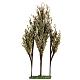 Alberi per presepe Tris 16X3X32 s1