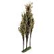 Alberi per presepe Tris 16X3X32 s2