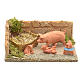 Nativity scene figurines, pigs family s1