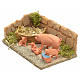 Nativity scene figurines, pigs family s2
