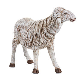 Schaf stehend Fontanini Krippe 45 cm