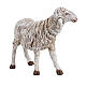 Schaf stehend Fontanini Krippe 45 cm s2