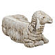 Owca leżąca 180 cm szopka Fontanini s3