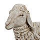 Sitting sheep for nativities by Fontanini 180cm resin s2