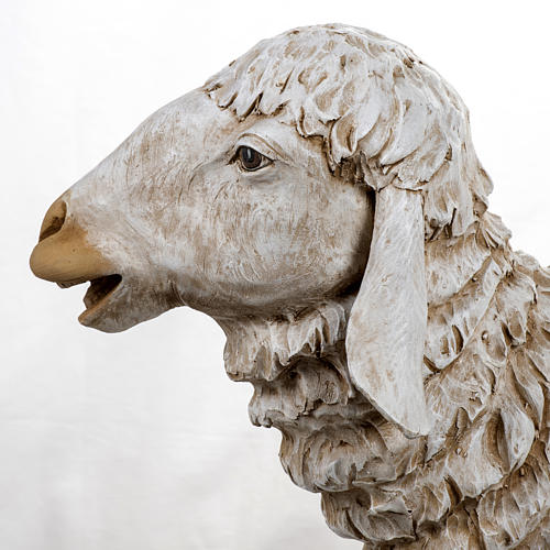 Mouton debout crèche 180 cm résine Fontanini 4