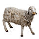 Mouton debout crèche 180 cm résine Fontanini s1