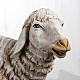Owca stojąca 180 cm szopka Fontanini s2