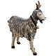 Standing goat for nativities by Fontanini 125cm resin s4