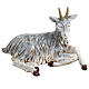 Sitting goat for nativities by Fontanini 125cm resin s1