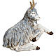 Sitting goat for nativities by Fontanini 125cm resin s4