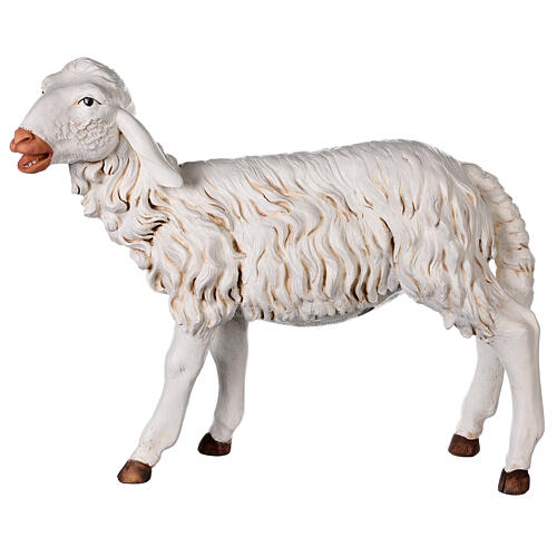 Standing sheep for nativities by Fontanini 125cm resin 1