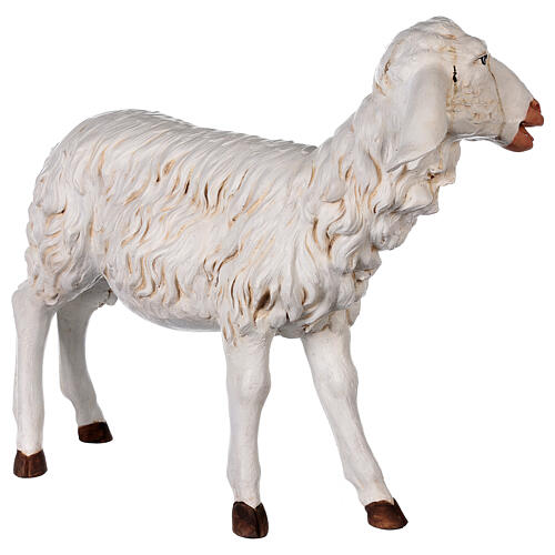 Standing sheep for nativities by Fontanini 125cm resin 5