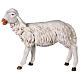 Owca stojąca 125 cm żywica Fontanini s1