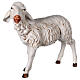 Owca stojąca 125 cm żywica Fontanini s3