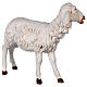 Owca stojąca 125 cm żywica Fontanini s5